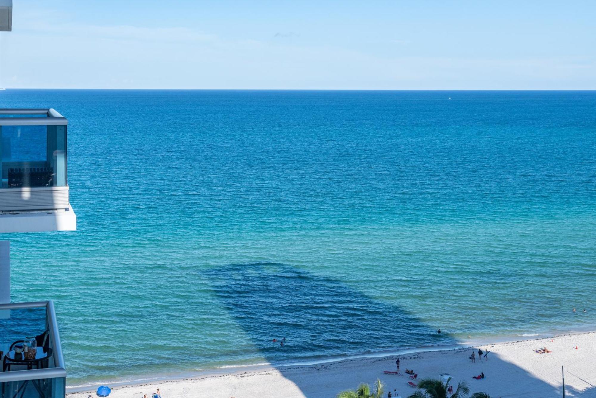 Bluebird Suites Monte Carlo Miami Beach Room photo